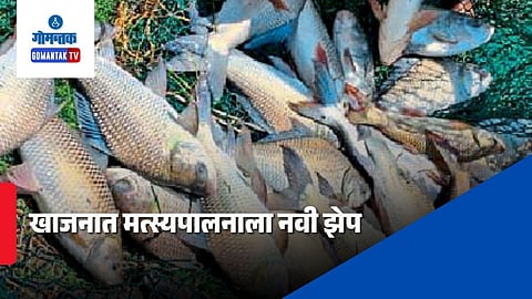 ICAR Goa fish farming