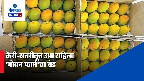 Goan Farm brand Keri Sattari