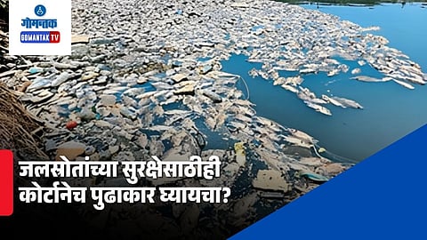 High Court intervention Goa environmental crisis