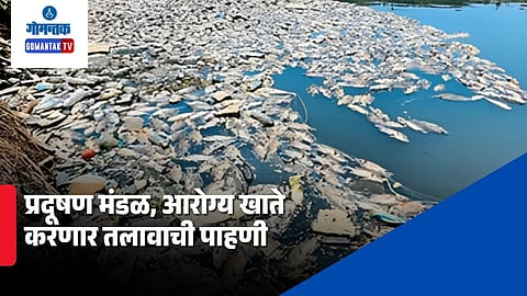 Mala Lake Dead Fish Case: