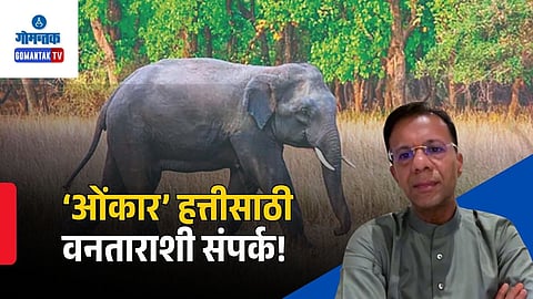 Forest Minister Vishwajit Rane