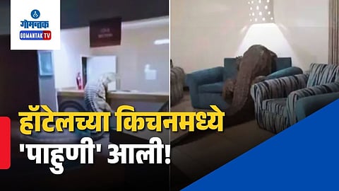 12-Foot Crocodile Zimbabwe Hotel