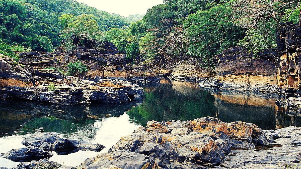 Mahadayi River: पोटा-पाण्याची चिंता अस्तित्वाहून मोठी बनली आहे का ...