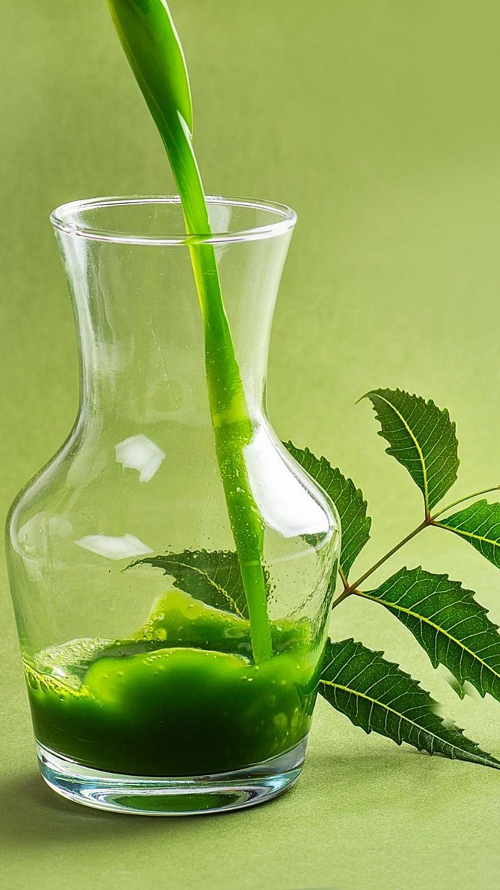 कडुलिबांच्या पानांचे सेवन दुर ठेवतात पोटाचे आजार what is the health ...