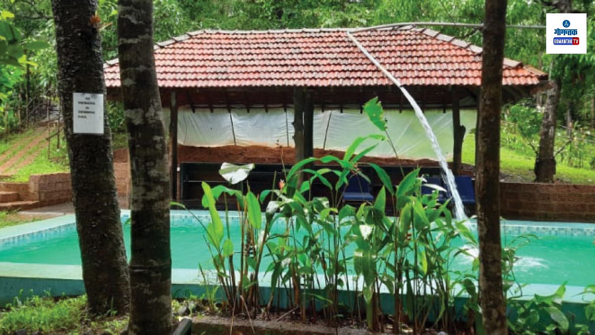 एनव्ही इकोफार्म निसर्ग आणि साहसाचा मिलाफ|eco farming in goa monsoon ...