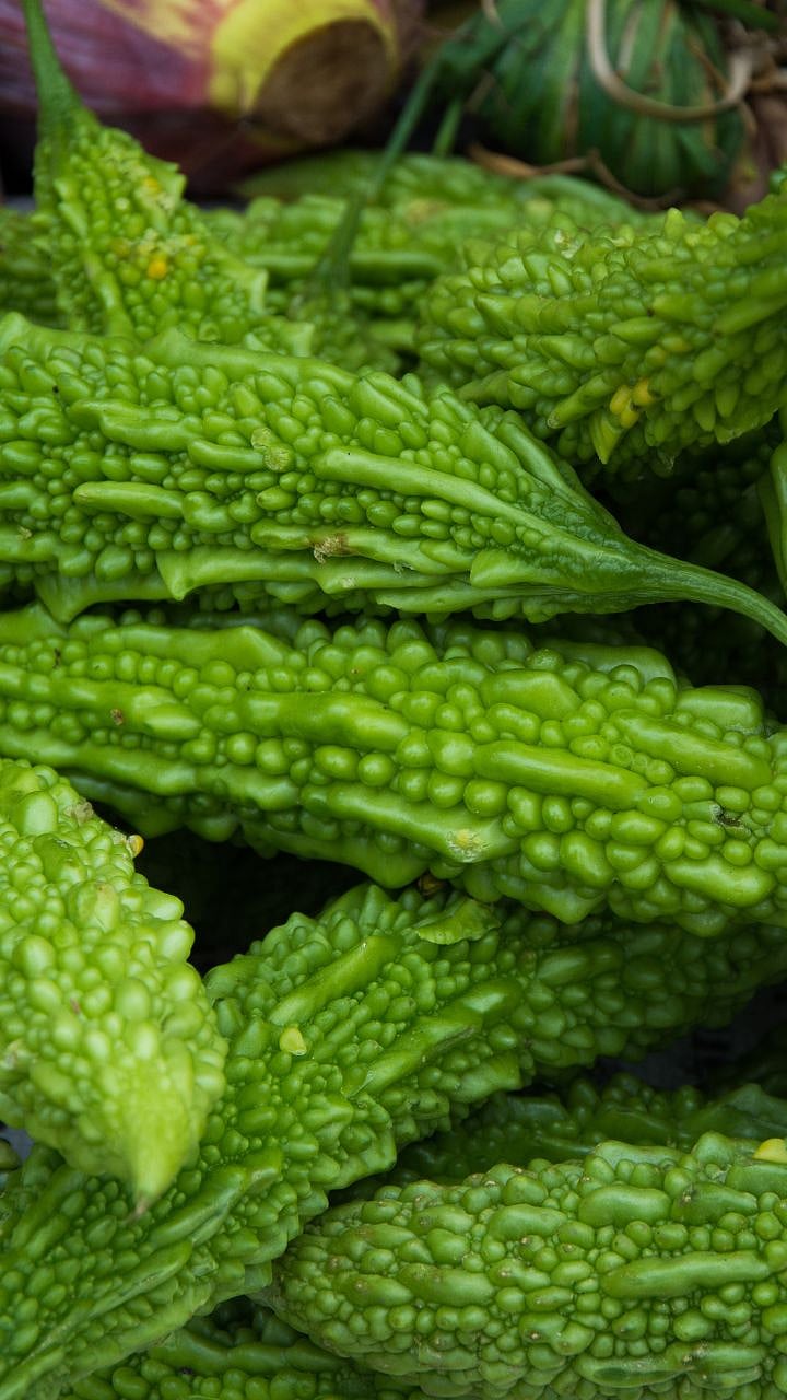Bitter Gourd Leaves Benefits: कारलेच नाहीतर त्याची पानेही फायदेशीर ...