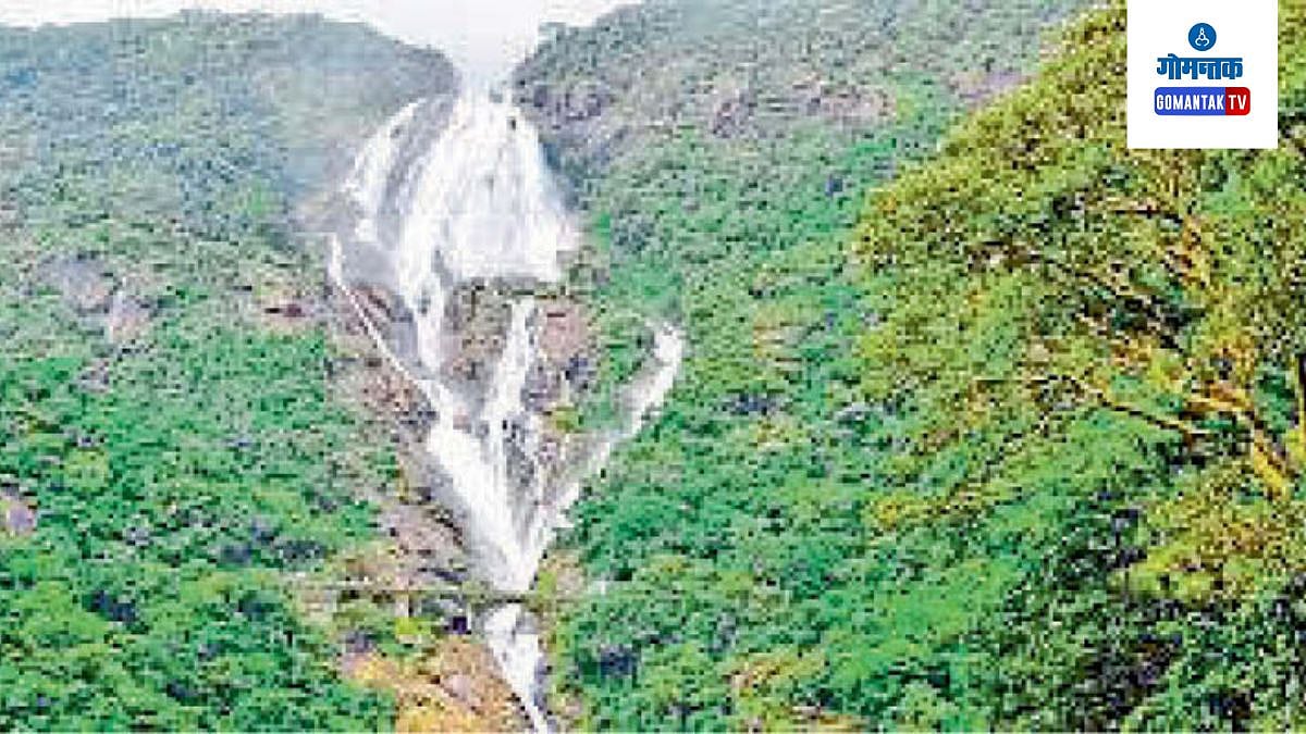 गंगासागर खोऱ्यातून|Mahadayi River goa tourist spot beach in goa|Dainik ...