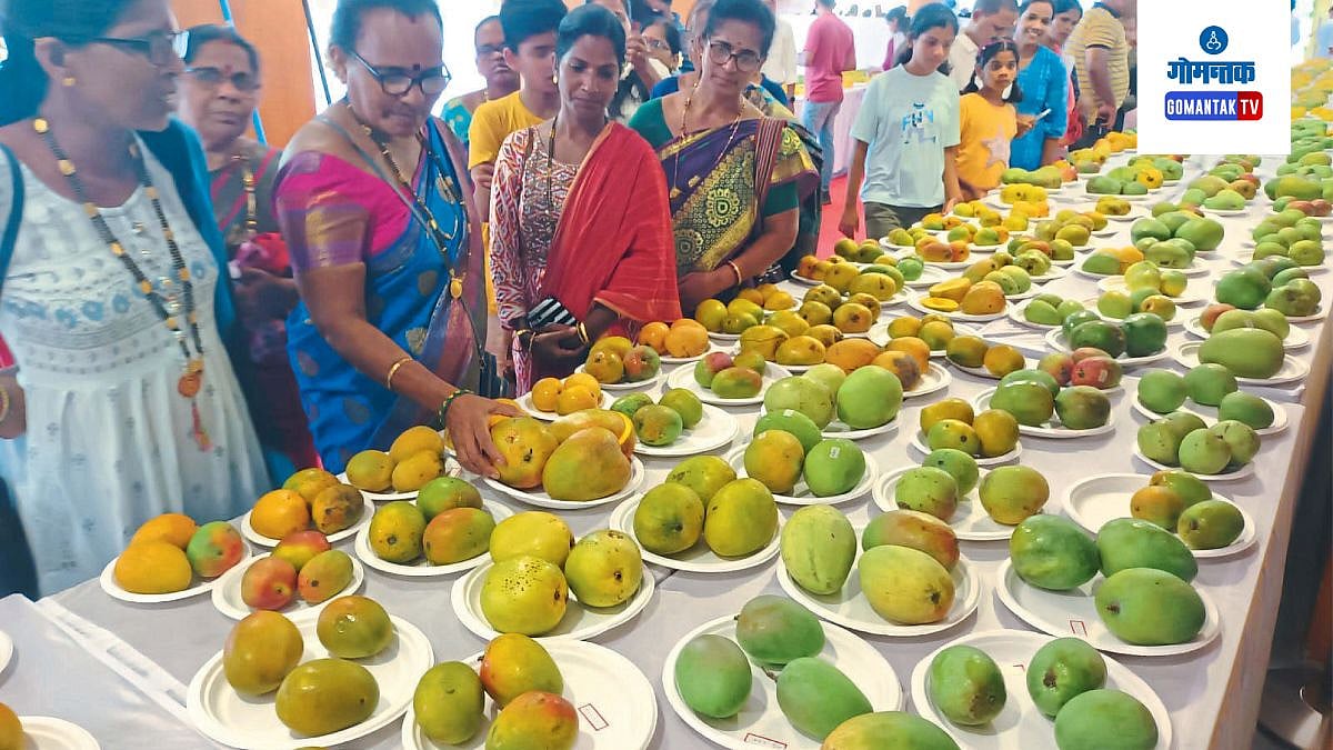 MSP For Goa Mango: आंब्याला आधारभूत किंमत देण्याचा विचार; मुख्यमंत्री ...