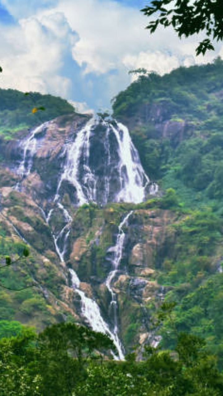Waterfalls In Goa: दूधसागरवर बंदी मग पावसाळ्यात गोव्यातील कोणत्या ...