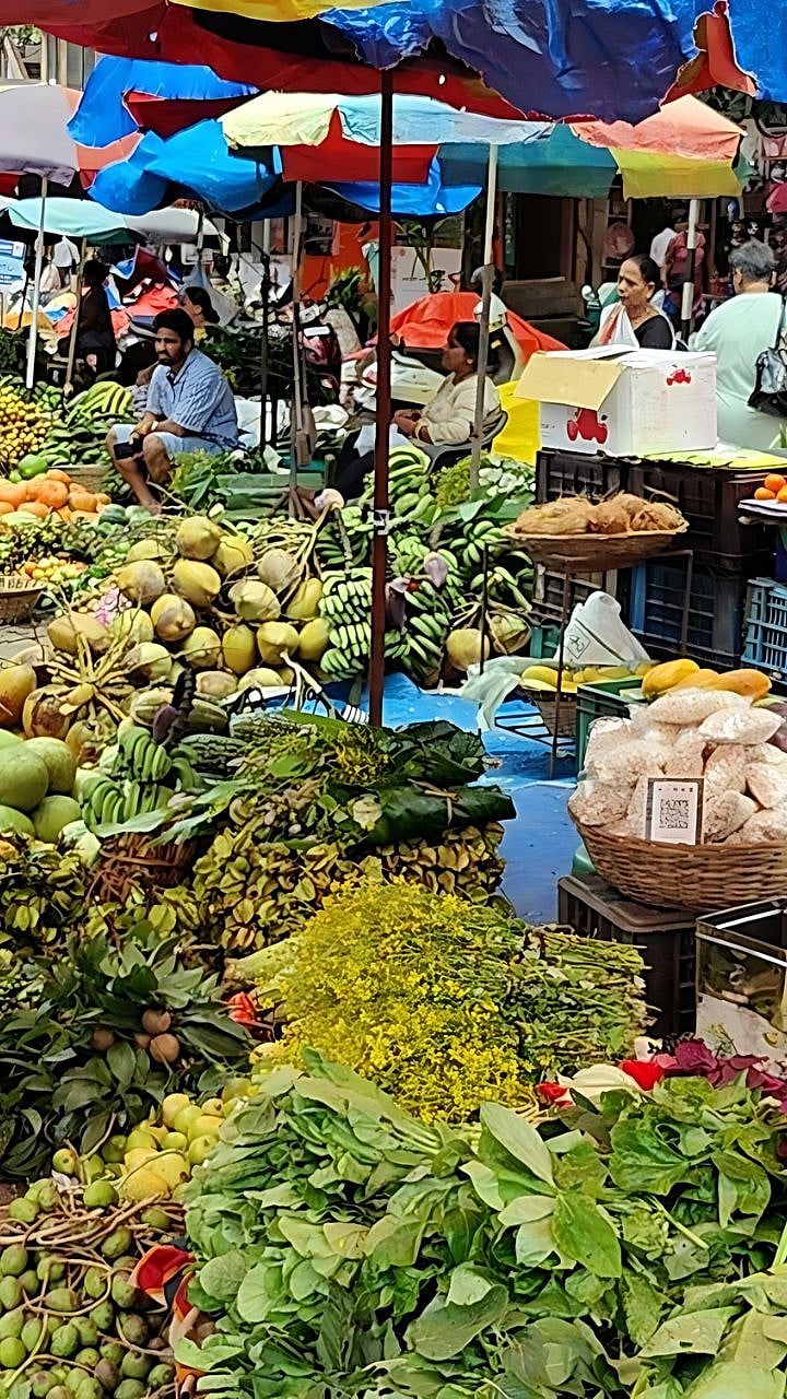 गणरायाच्या स्वागतासाठी सज्ज! माटोळी बाजारात झुंबड|matoli bazar ...