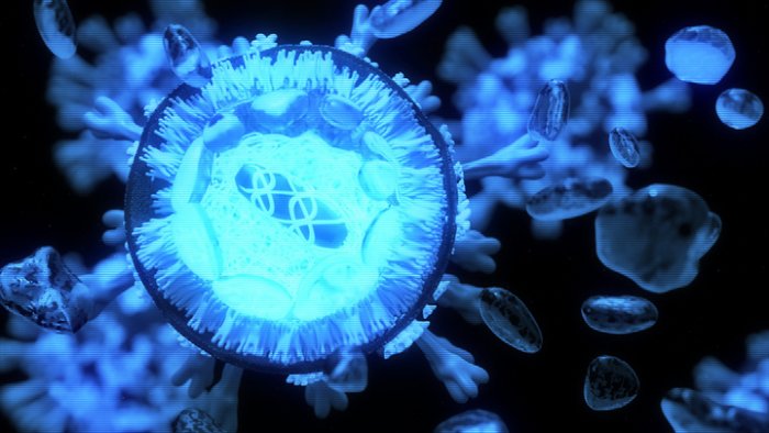 Coronavirus highlights: Philippines detects local transmission of Omicron sub-variant