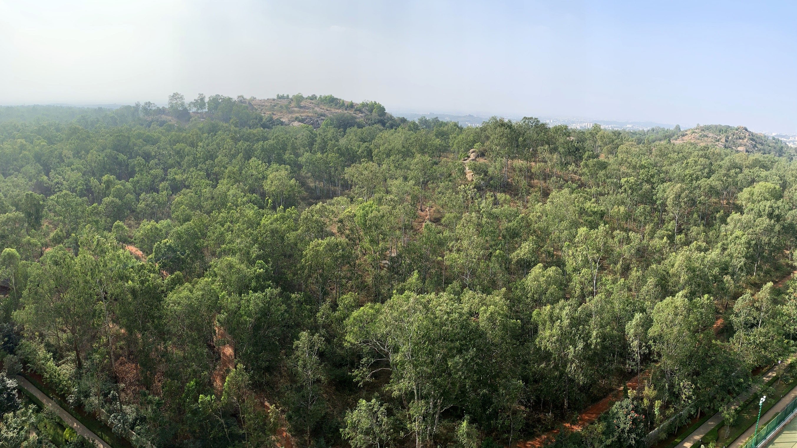 324 acres of Turahalli forest saved from the jaws of land mafia