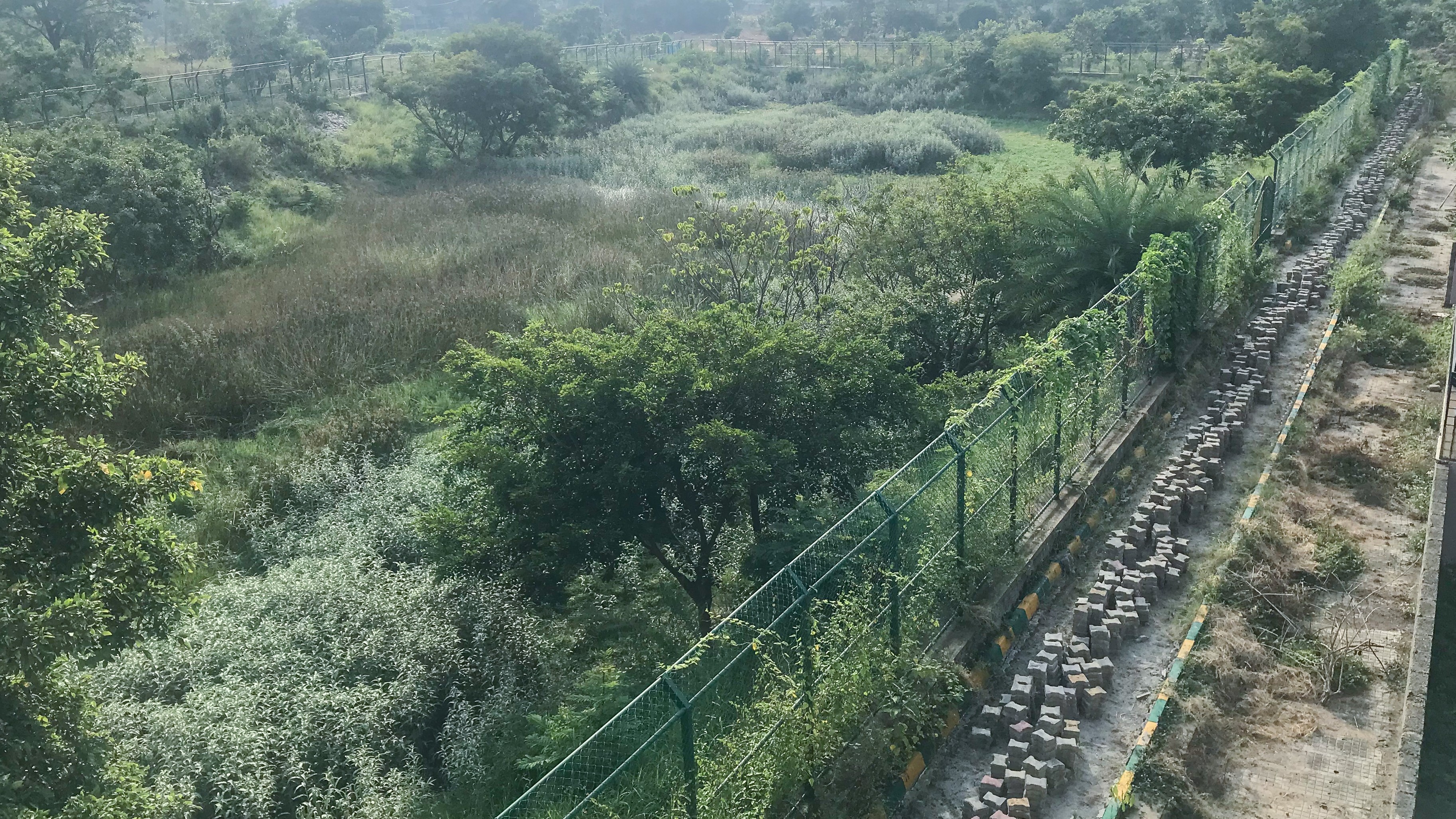 Lake in Uttarahalli turns 'private property', walkers shocked 