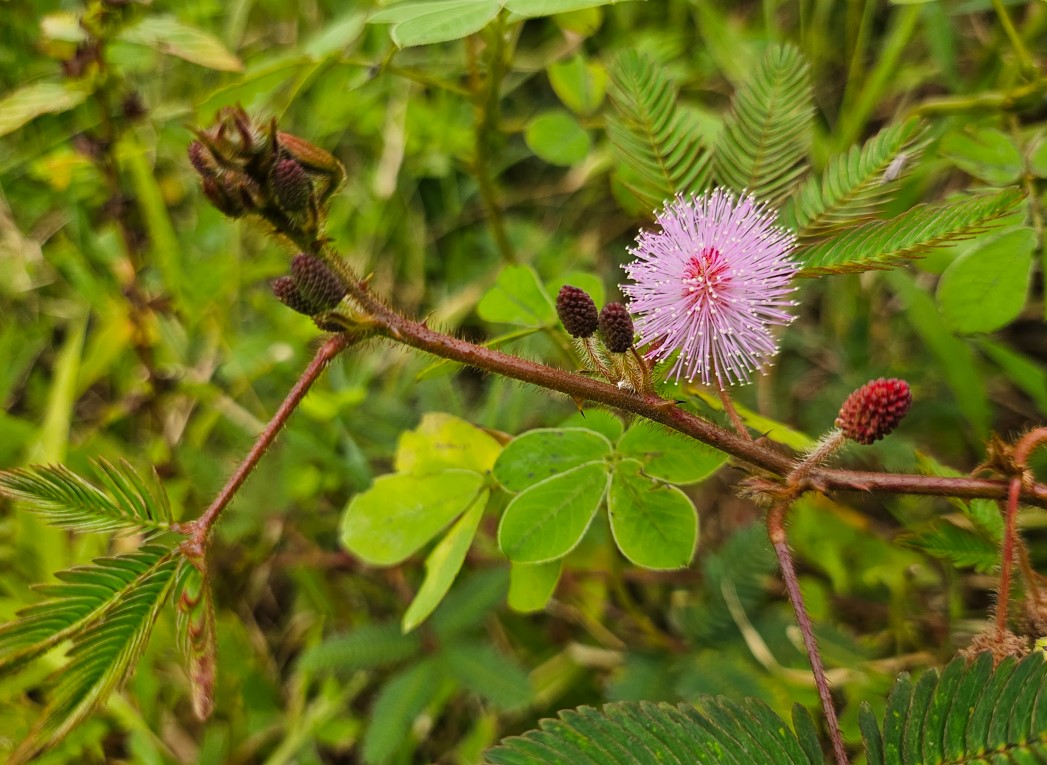 Samsung Galaxy Z Flip5's camera sample