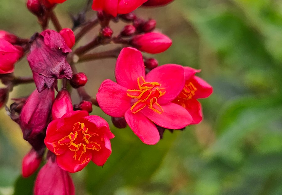 Samsung Galaxy Z Fold5's camera sample 