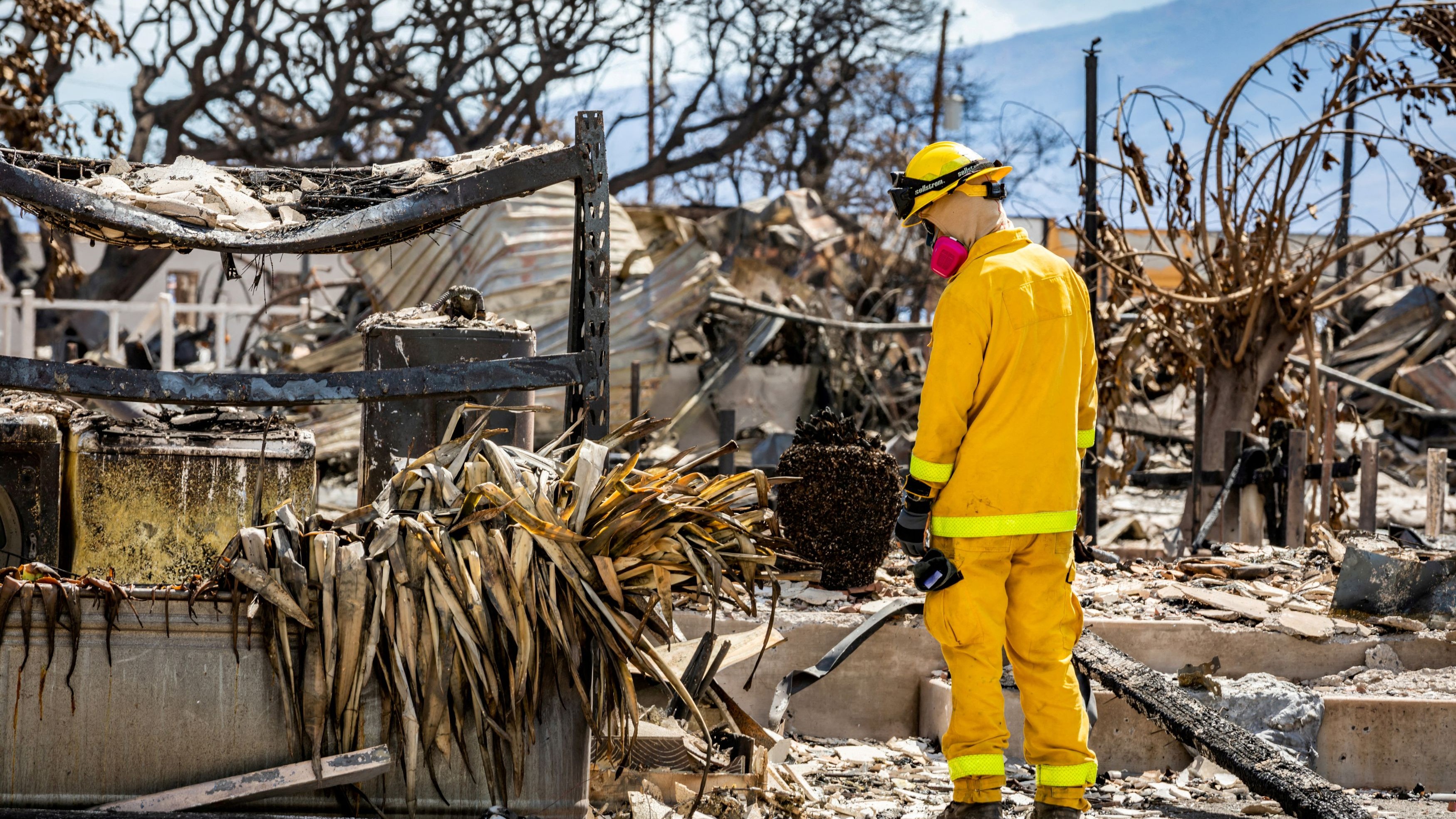 Among the 388 listed as missing in Maui: Survivors lost in the paperwork