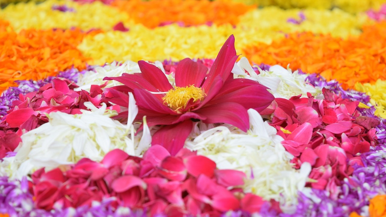Project Onam in Pilani 