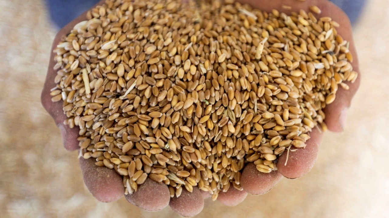 India braces for unusually hot March; wheat, rapeseed crops at risk