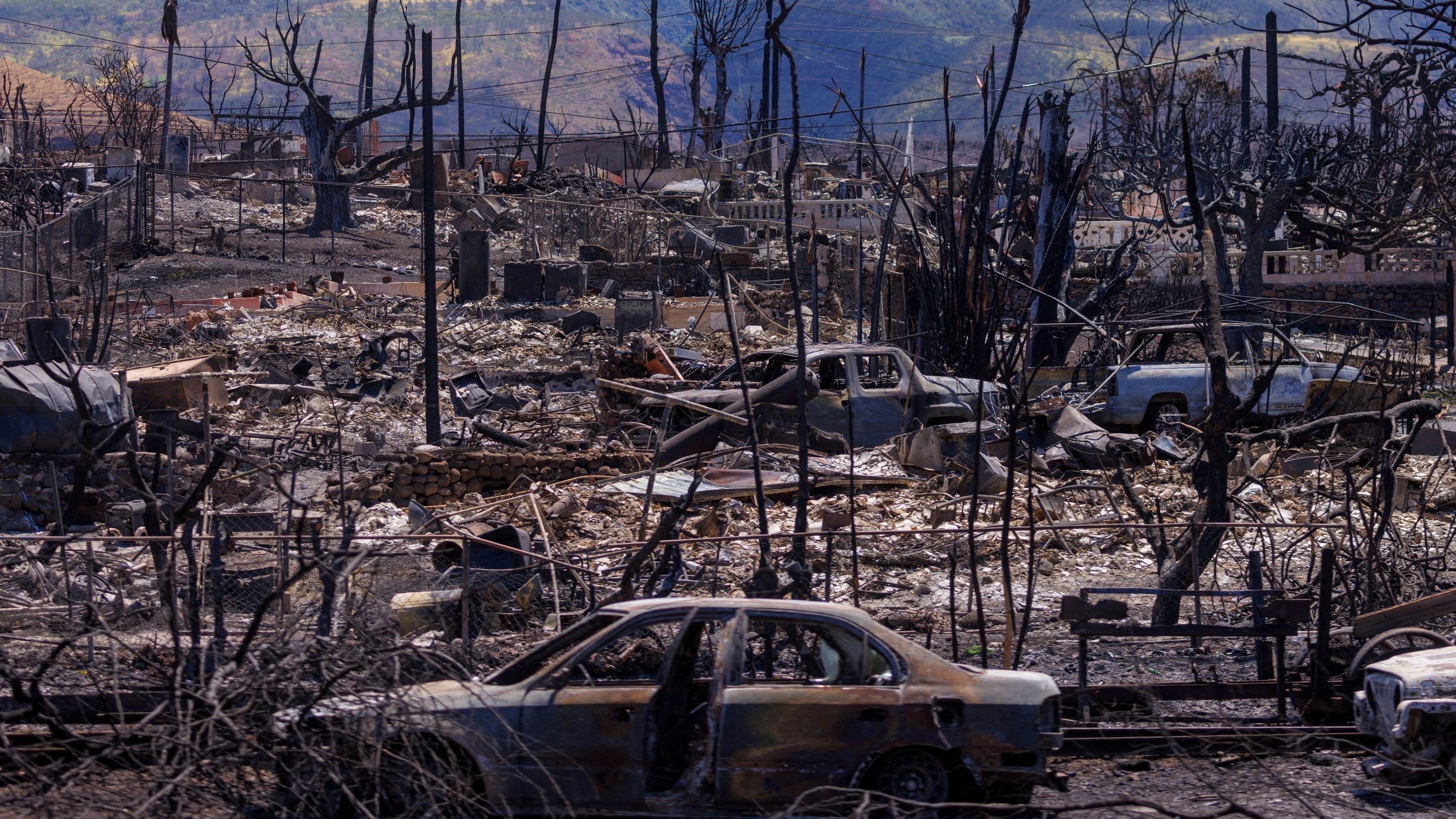 Maui fire death toll drops to 97 after weeks of DNA review