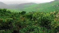 Electric trap set for wild boar kills two youths in Kerala's Palakkad