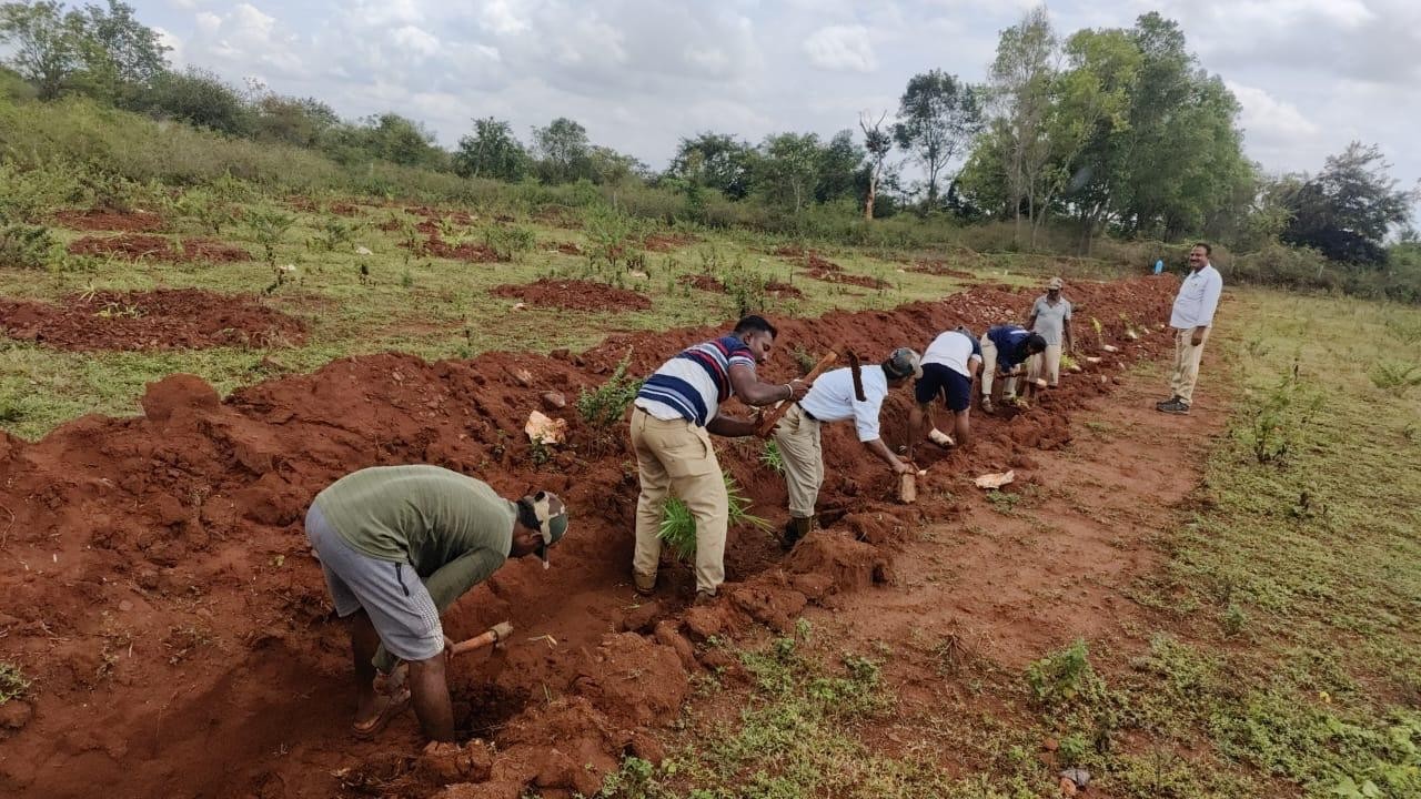 Forest land encroached by BDA for Kempegowda Layout recovered