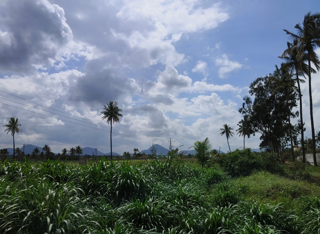 iQOO Z7 Pro 5G's camera sample.