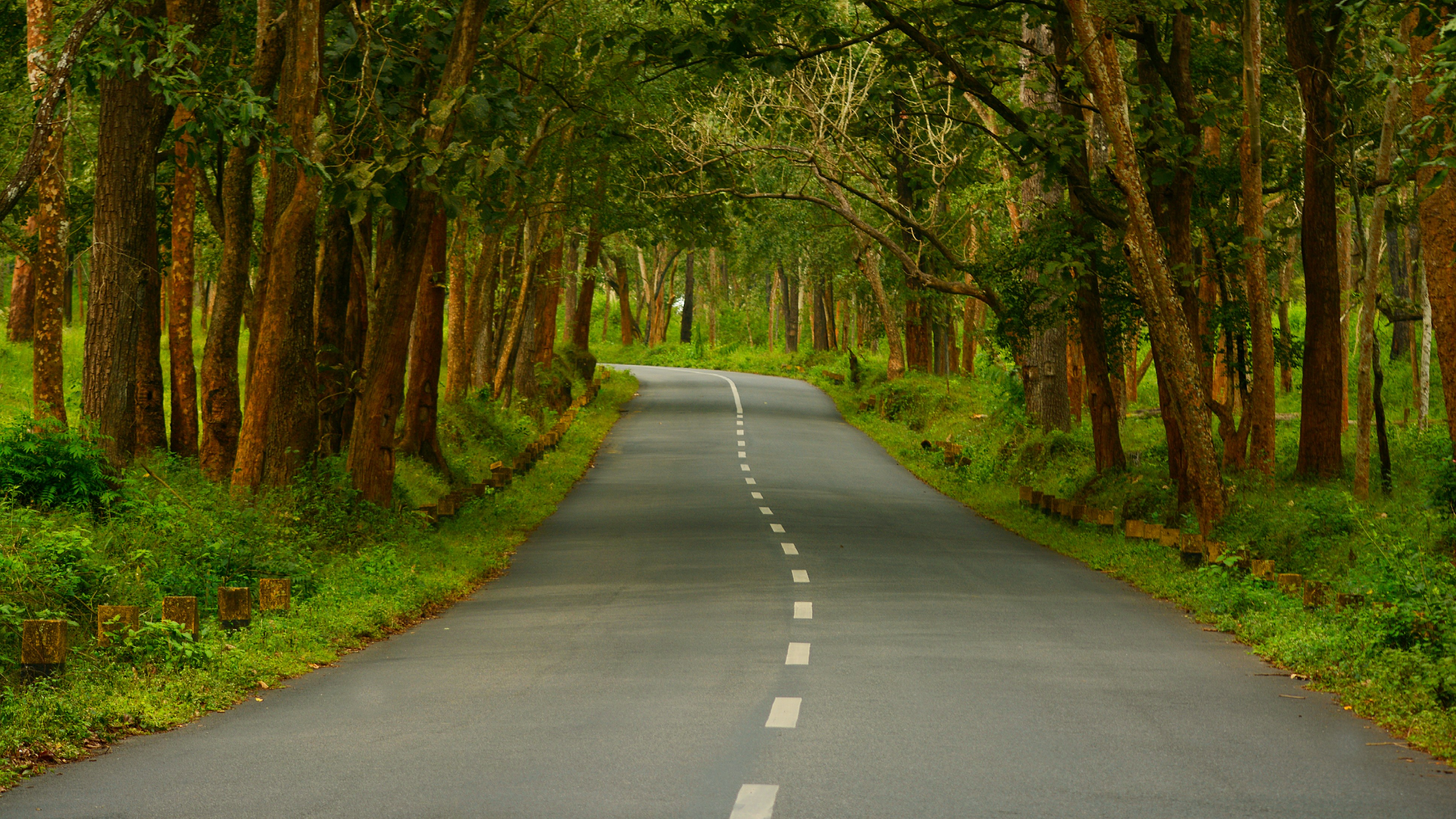 Bandipur: Wildlife safari cancelled on September 20