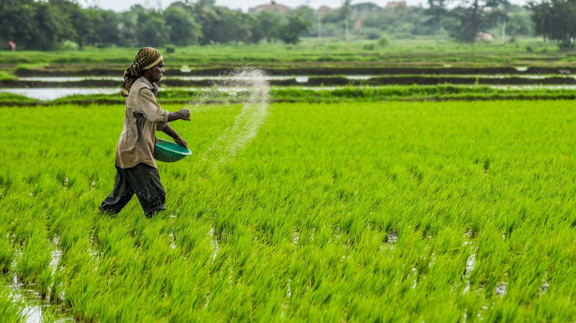 Self-reliance in fertilisers 