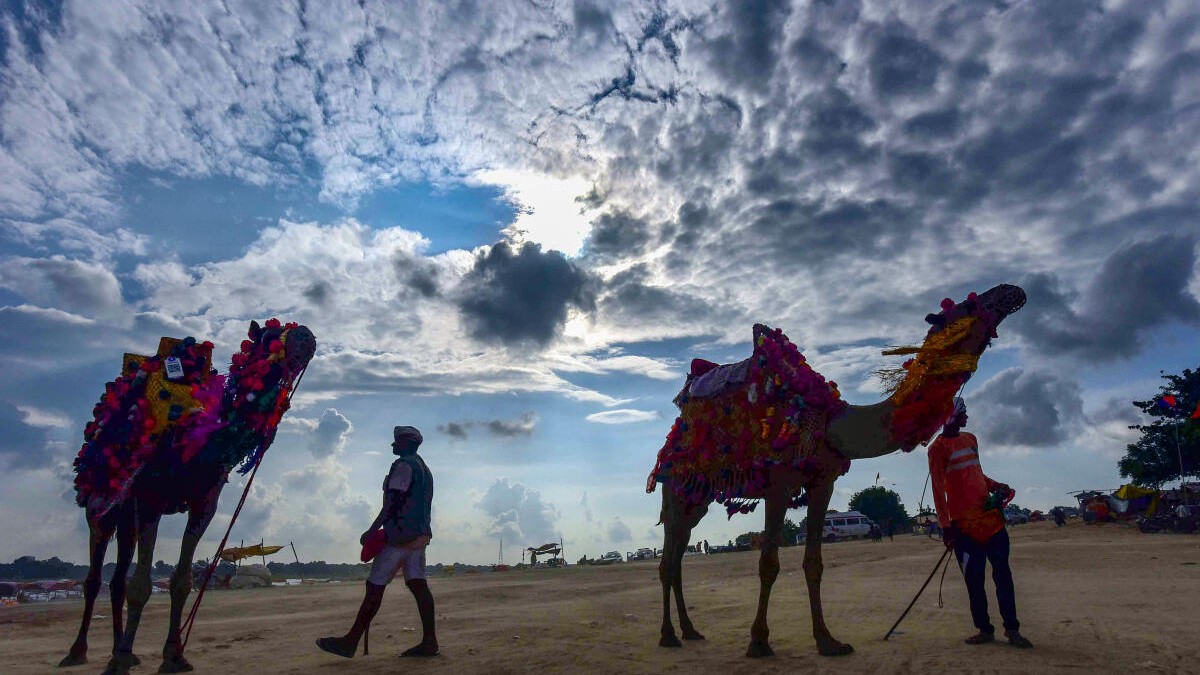 A man offering camel ride waits for visitors at the Sangam, during a cloudy day, in Prayagraj, Sunday.