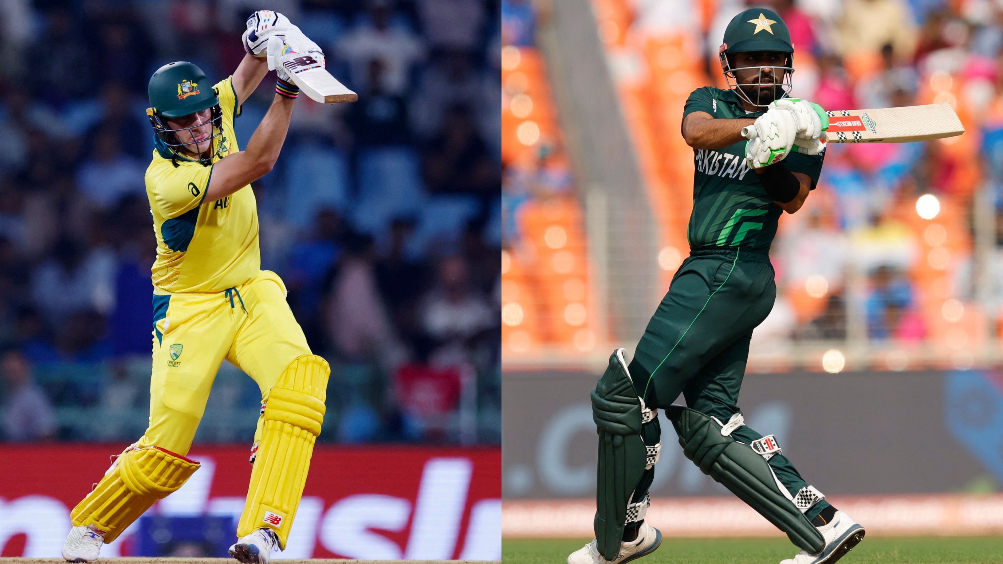 Cornered Tigers wait on wounded Kangaroos