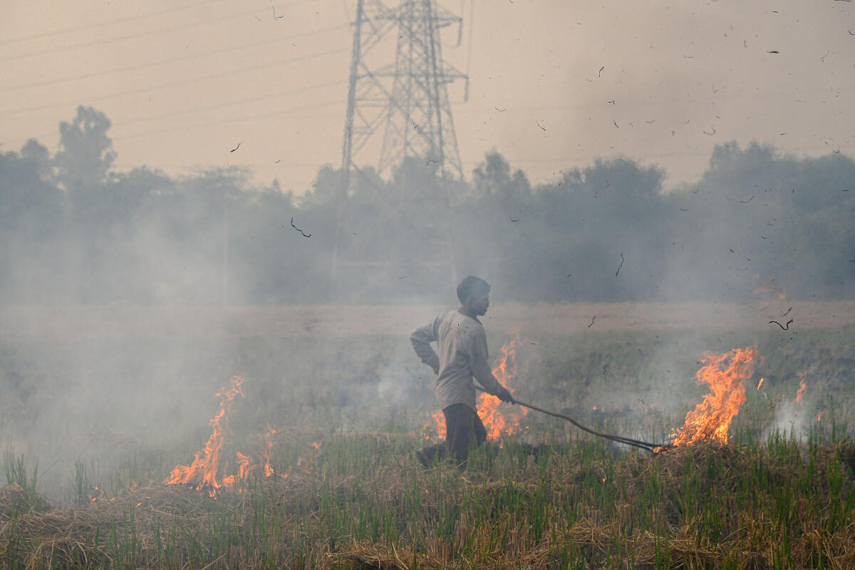 A farmer burns paddy stubble at a field, near Jalandhar.