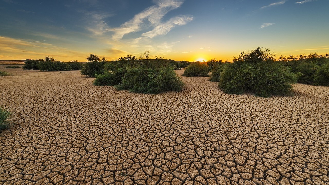 Representative image of drought.