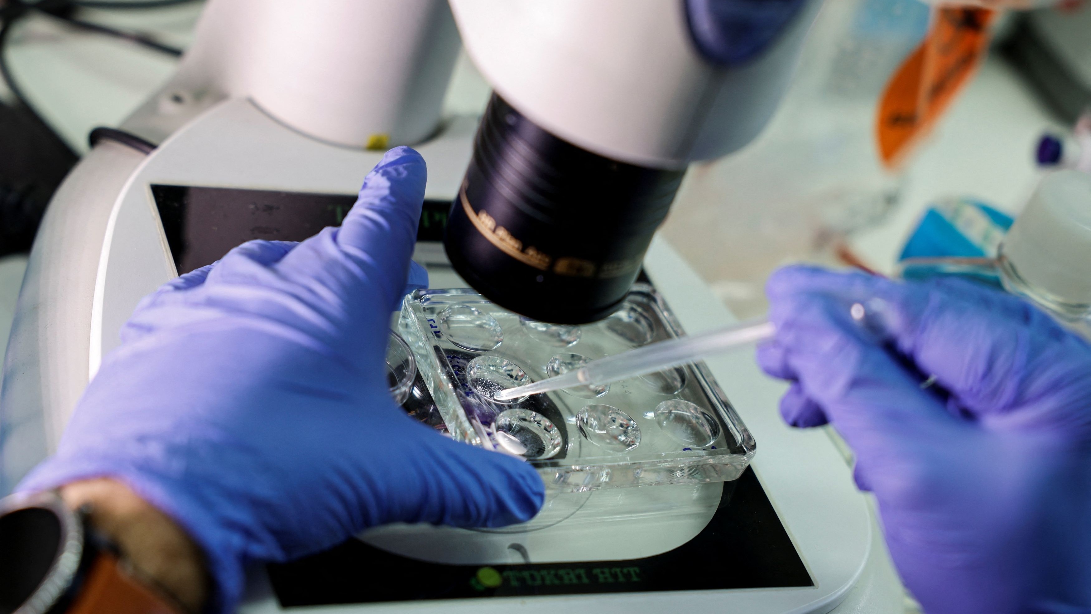 Scientists use pollen data to decode first humans' migration into Eurasia