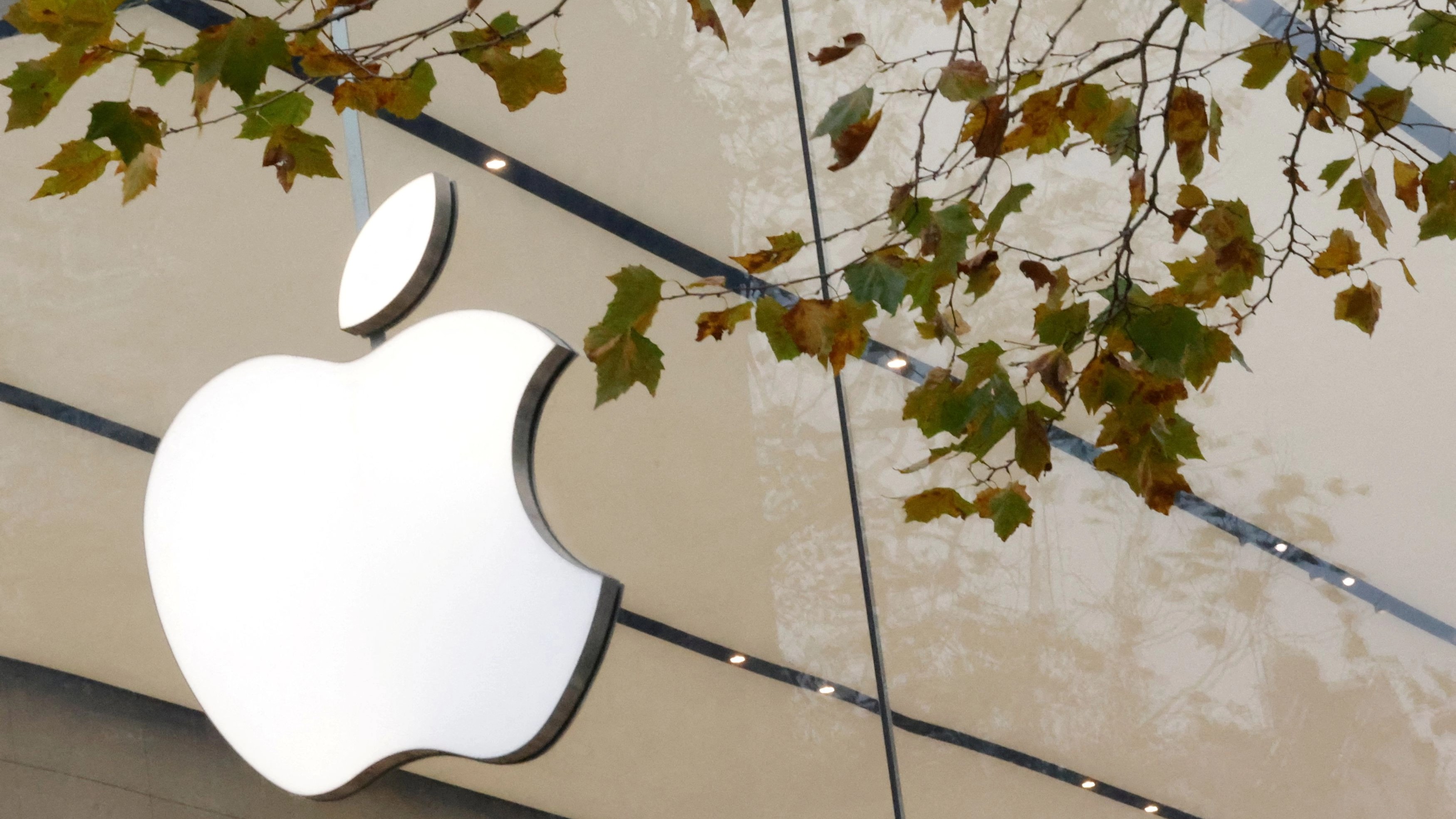 15 social startups join Apple-backed Acumen’s accelerator