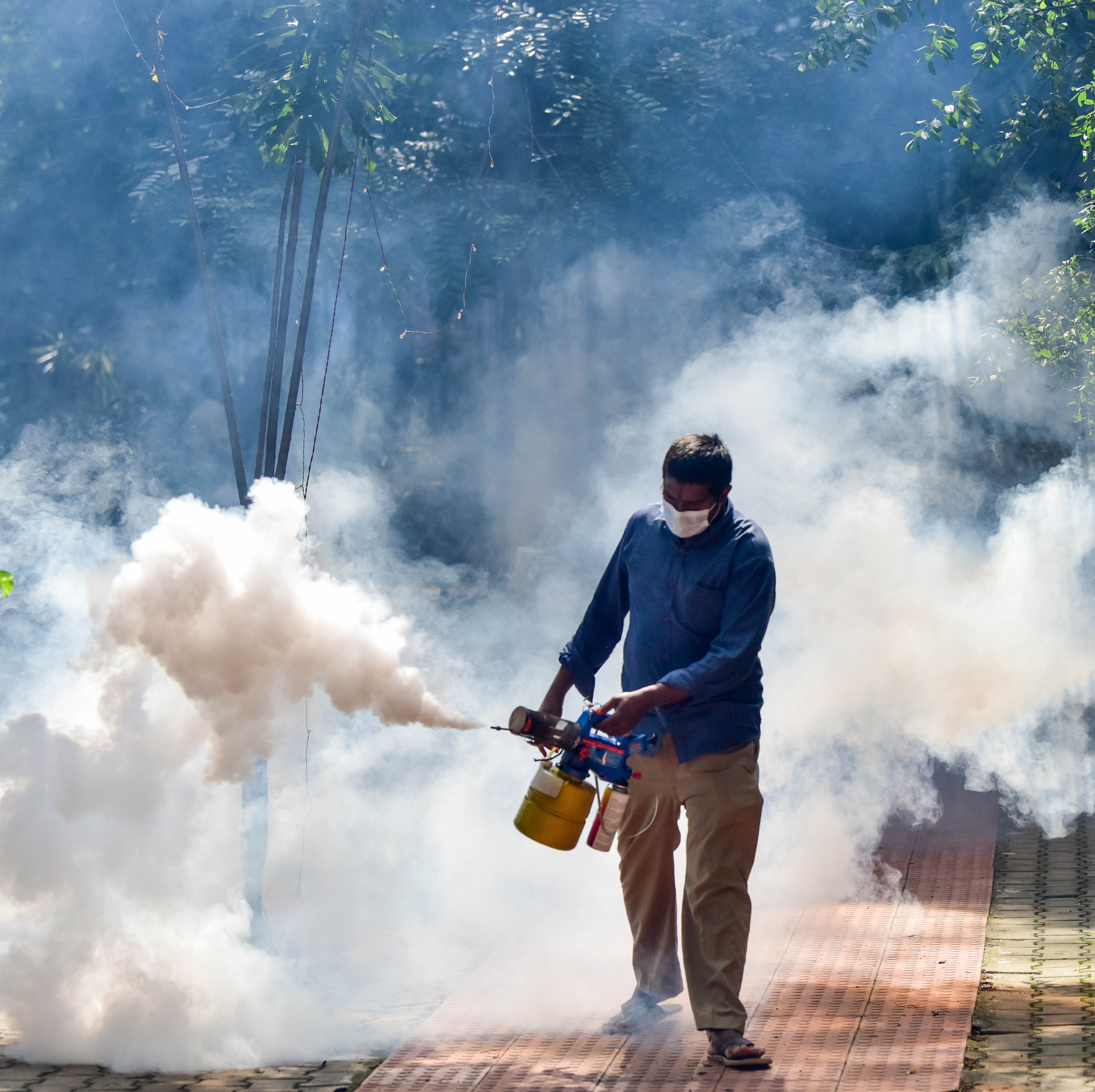 Experts conducted a door-to-door larval survey. While fogging and spraying do help source reduction is the immediate requirement they say.  