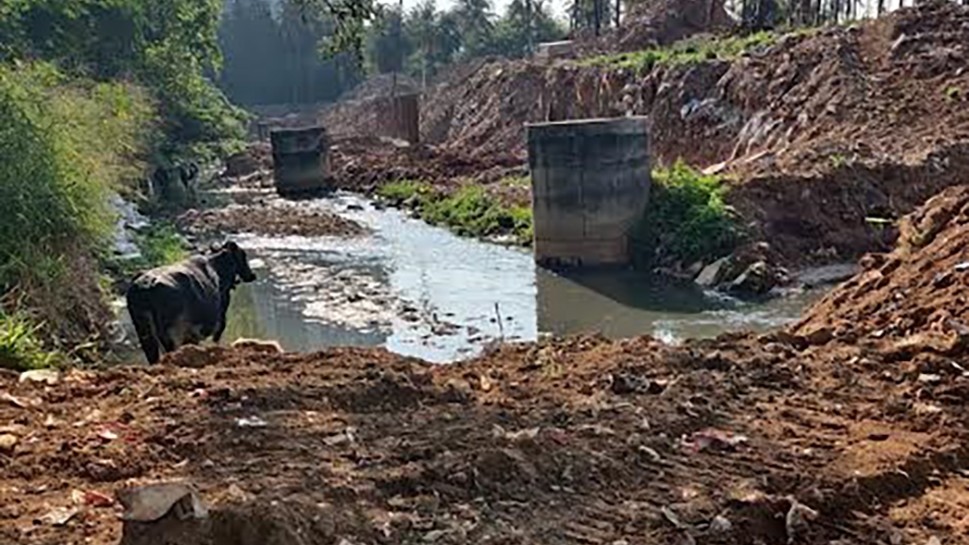 Doddabidarakallu lake deteriorates as desilting, sewage diversion come to standstill  
