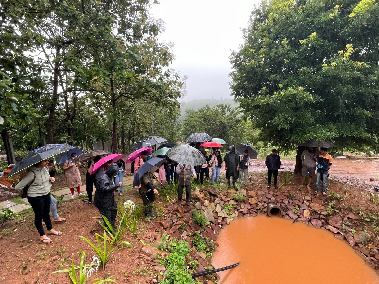 Citizen scientists learn about frogs at Eco Village in Halligeri Dharwad; (top) Citizen scientists and experts document birds around Kaiga in Uttara Kannada during a Bird Marathon. DH Photos