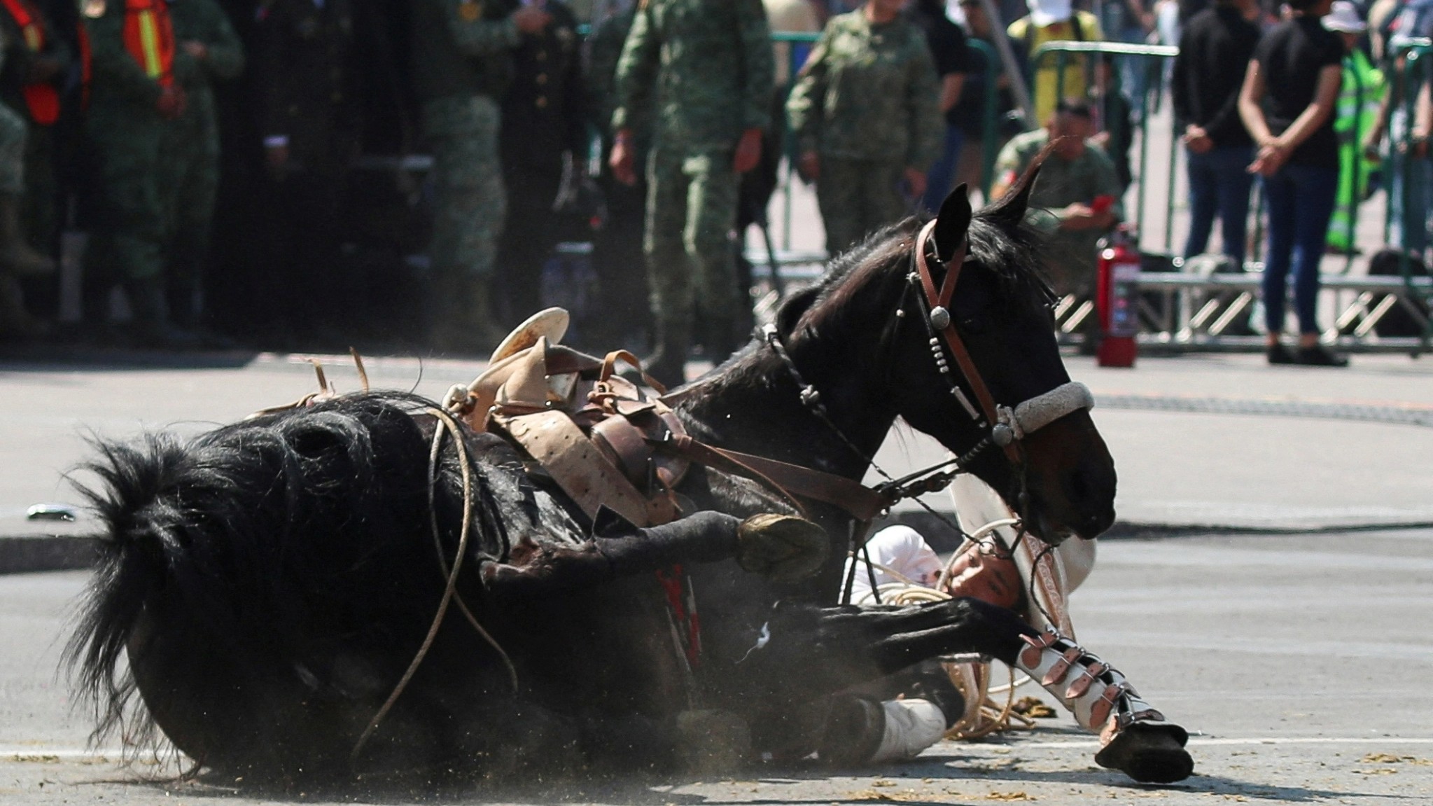 A participant falls with his horse as members of the security forces look on during the parade to mark the 113th anniversary of the Mexican Revolution, at the Zocalo Square in Mexico City, Mexico November 20, 2023. 