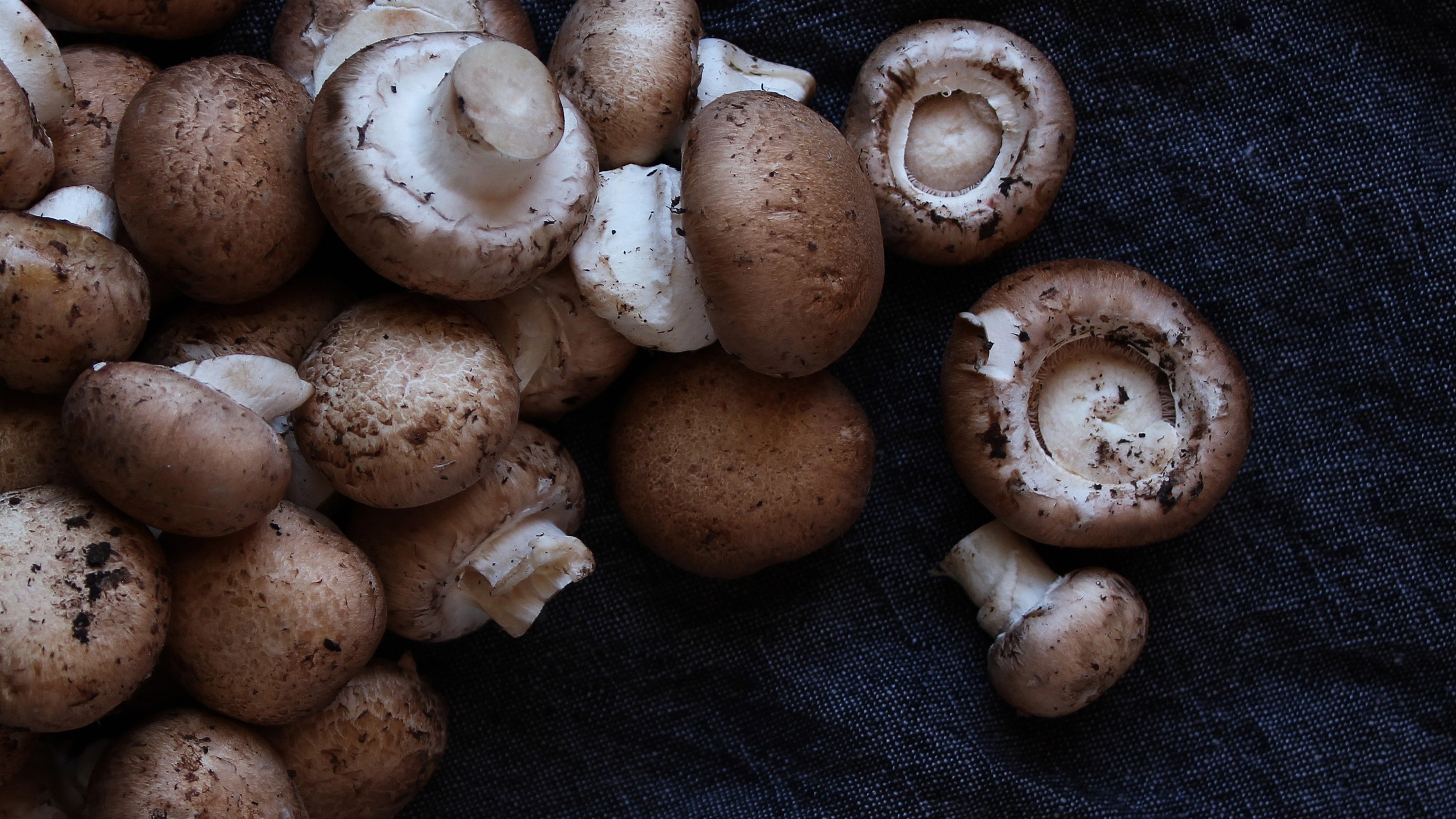 A 'mushrooming' opportunity