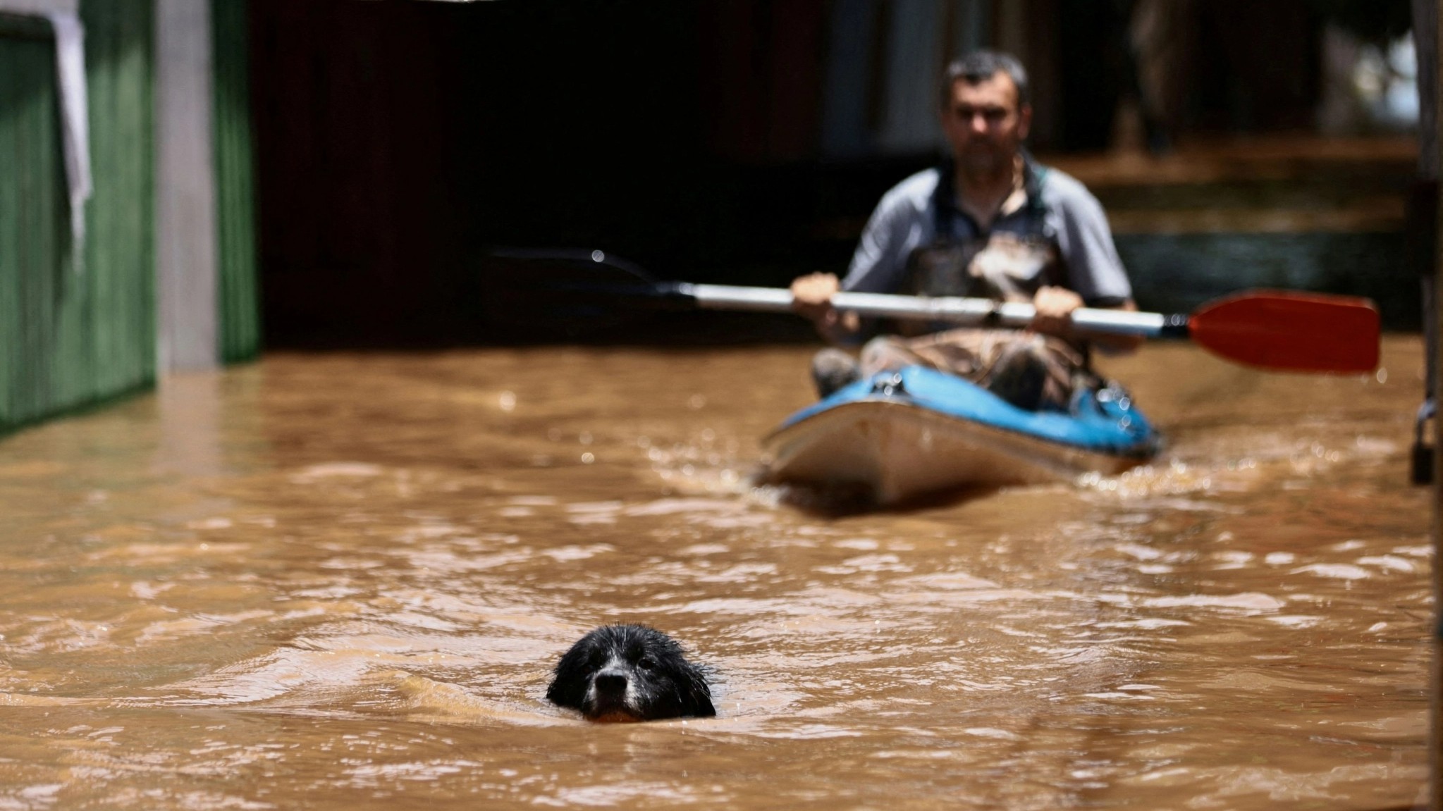 A dog swims in front of a man who paddles due to flooding caused by heavy rains, in Ilha Grande dos Marinheiros in Porto Alegre, Rio Grande do Sul state, Brazil November 20, 2023. 