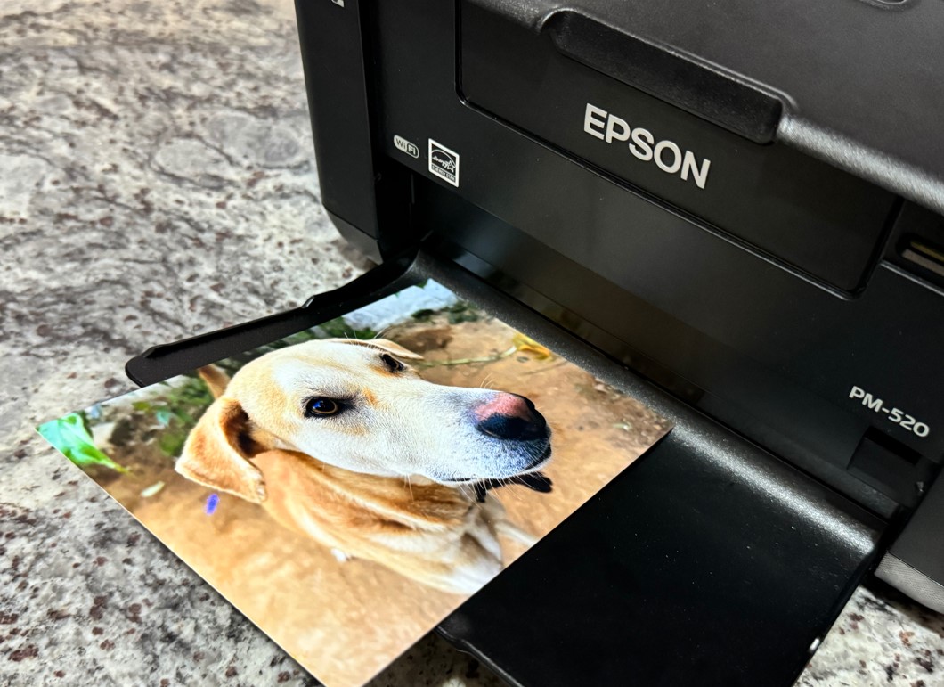 Epson's Picture Mate PM-520