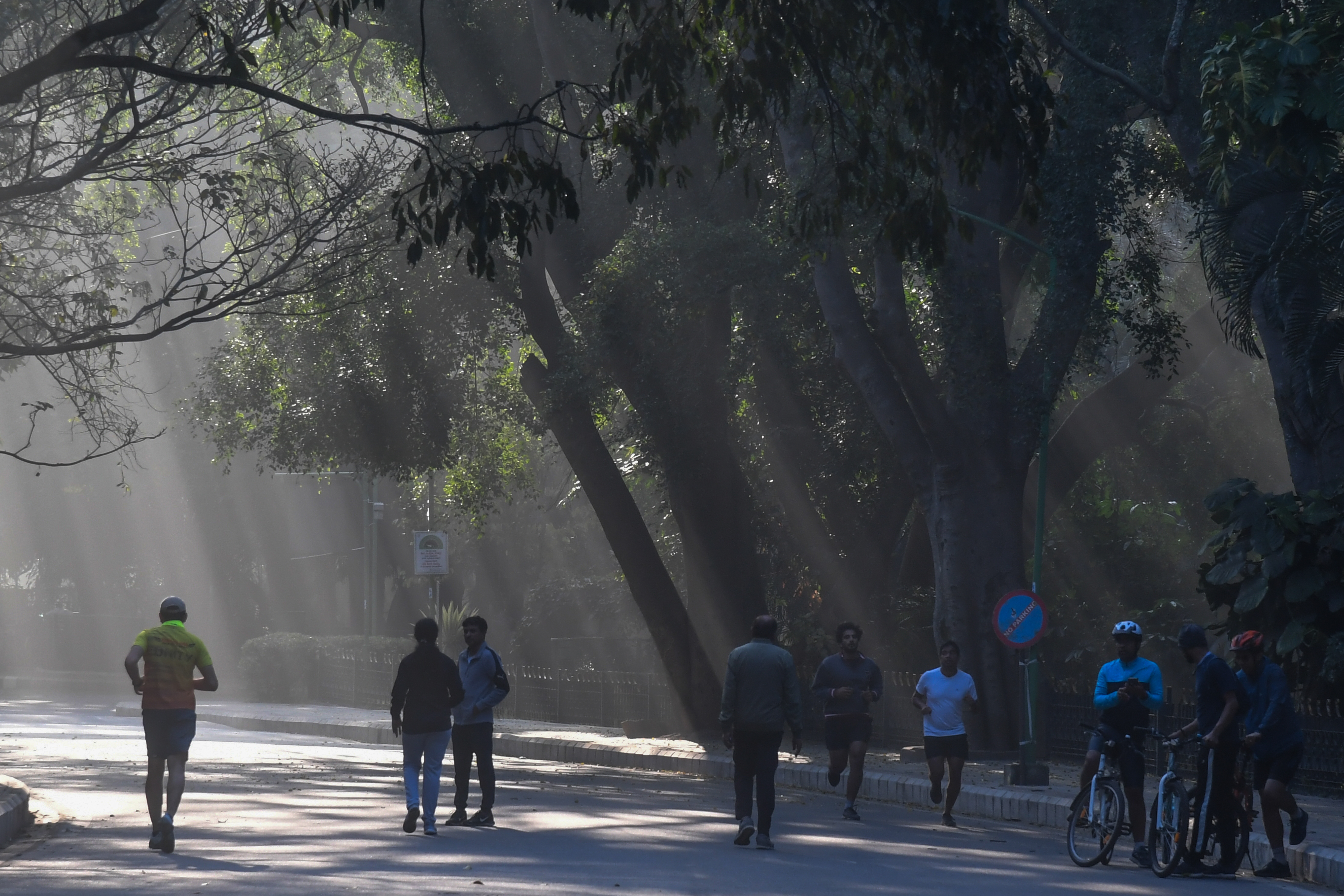 Cyclists and joggers at Cubbon Park on a Saturday morning. 