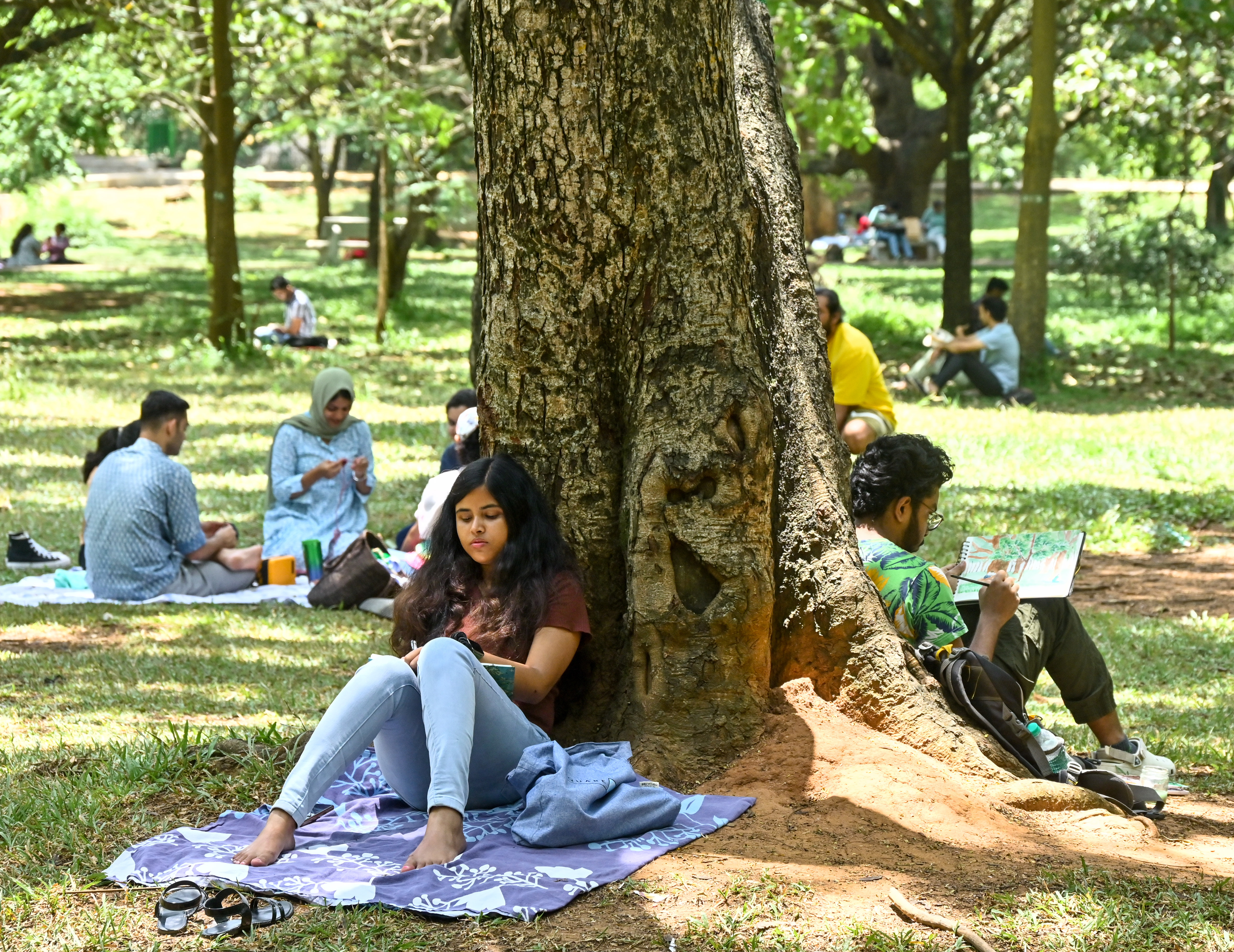 People reading painting and talking in the sprawling park during the weekend. 