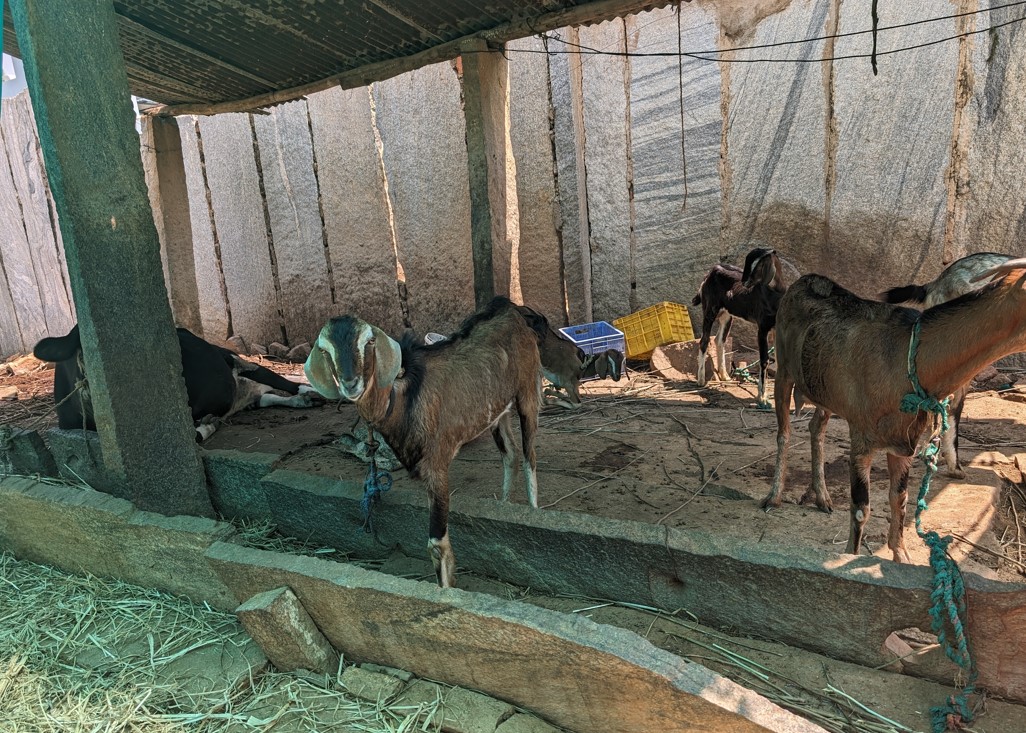 Camera sample of Google Pixel 8 without magic eraser effect.