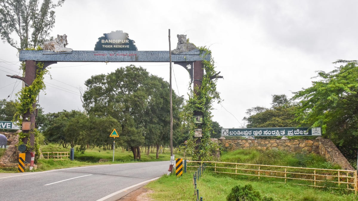 Bandipur ESZ study hints at human demands exceeding supply 