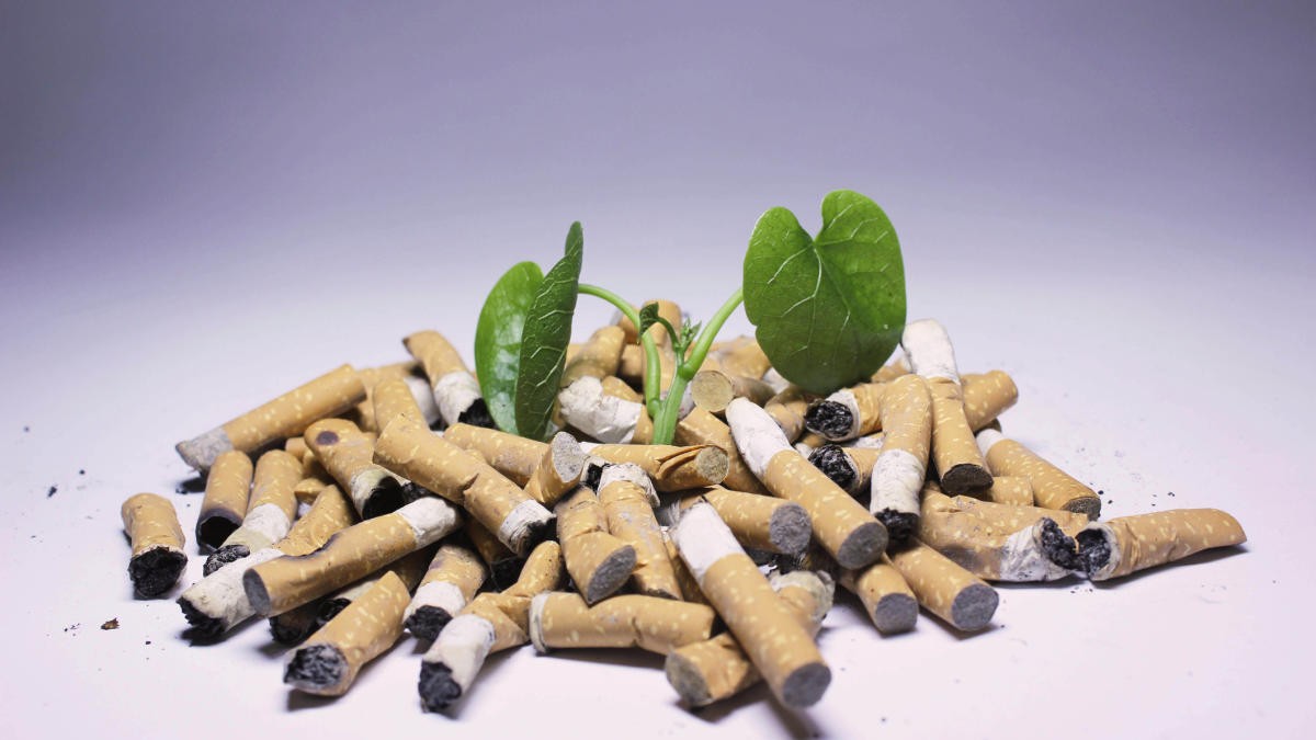 Plastic pollution from cigarettes likely costs $26 billion per year, finds study