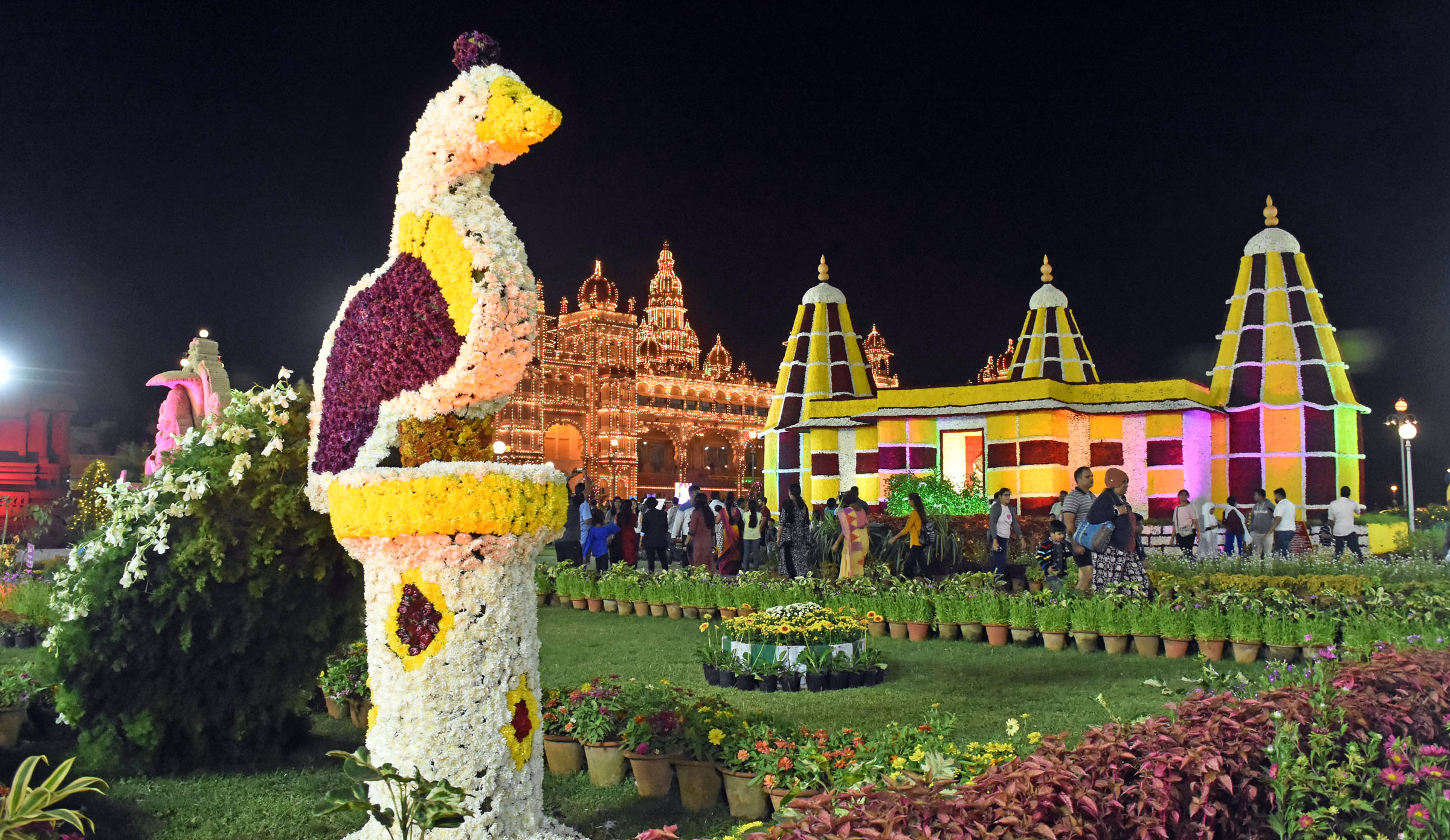 The Flower Show at the backdrop of the illuminated Mysuru Palace. 