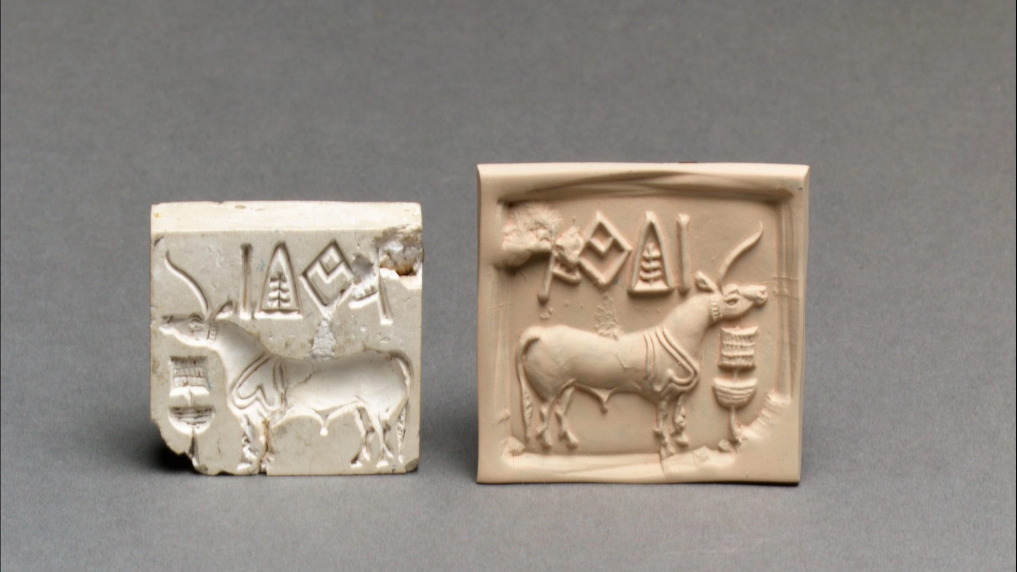 Unicorn seals: An enduring mystery