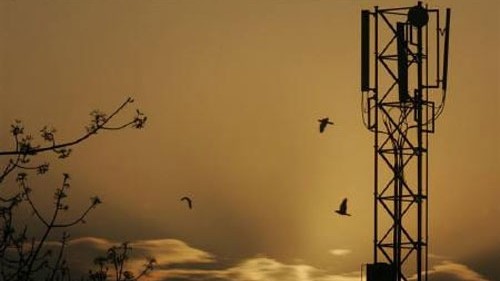 Subscriber loss, price war with satcoms to make investment recovery tough for private telcos in 2025