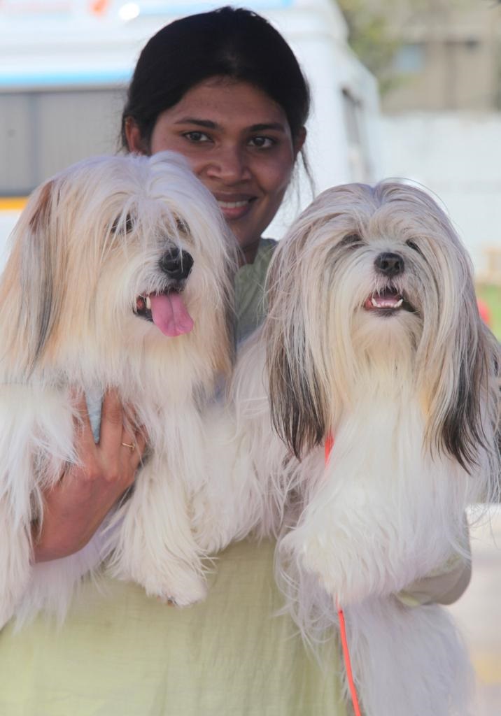 About 500 pedigreed dogs representing over 50 diverse breeds took part. 